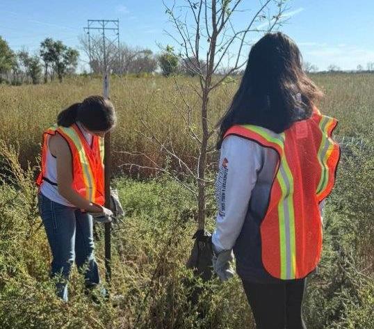 By removing invasive tamarisk, replacing them with native species, and collecting trash, the volunteers helped improve habitat quality around the John Martin project, Sept. 27, 2025.
